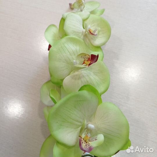 Декоративные шары и искусств. орхидея для декора