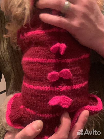 Одежда для маленьких собак