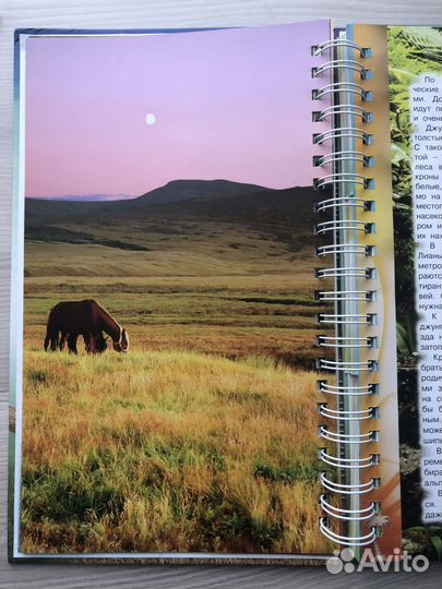 Энциклопедия живой природы.Автор Борис Сергеев