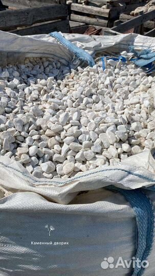 Крошка галтованная