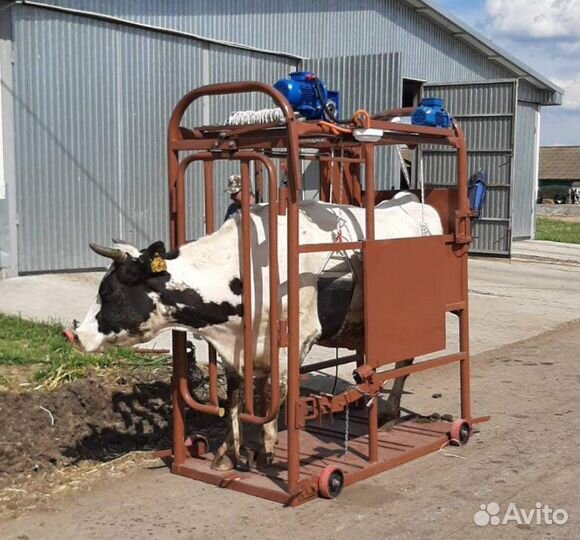 Станок для обработки копыт крс