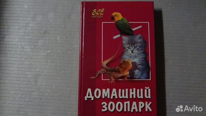 Кошки, собаки, попугаи