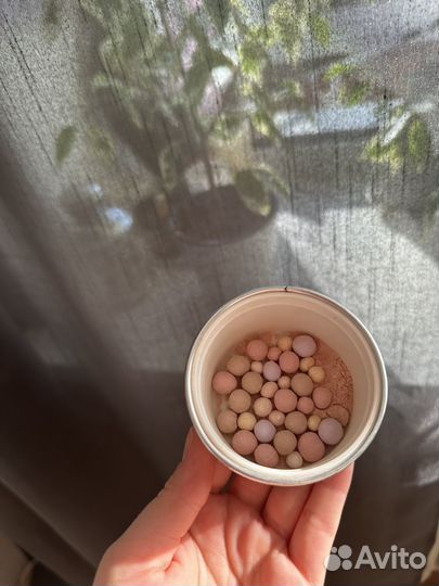 Guerlain метеориты