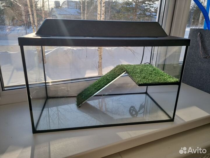 Террариум для красноухой черепахи