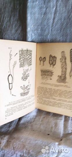 Справочник и учебник по заболеванию растений