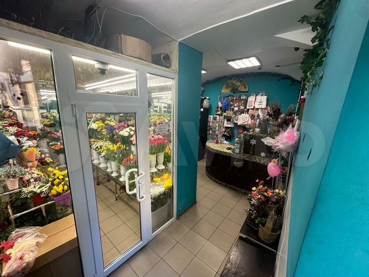 Торговая площадь, 33.9 м²