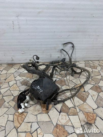 Проводка подкапотная Kia Ceed Ed хэтчбэк 1.6 122