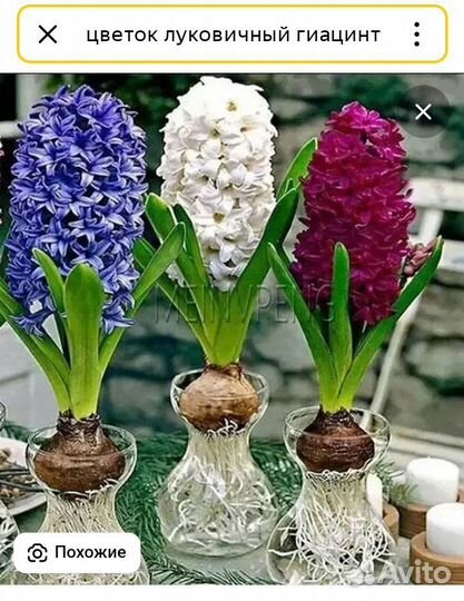 Ваза для цветов