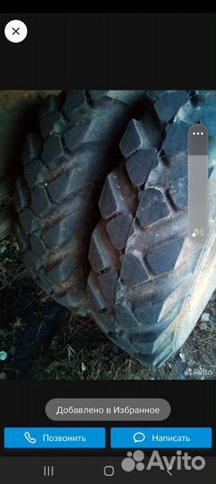 Дрова березовые