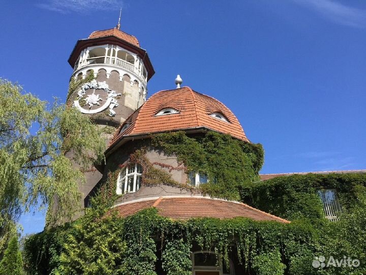 Экскурсии в Калининграде и области. Ваш личный гид