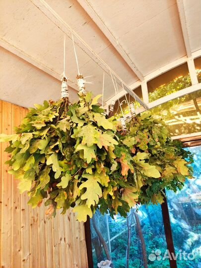 Дубовые веники для бани