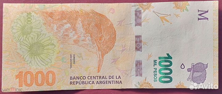 Нечастые банкноты Америки