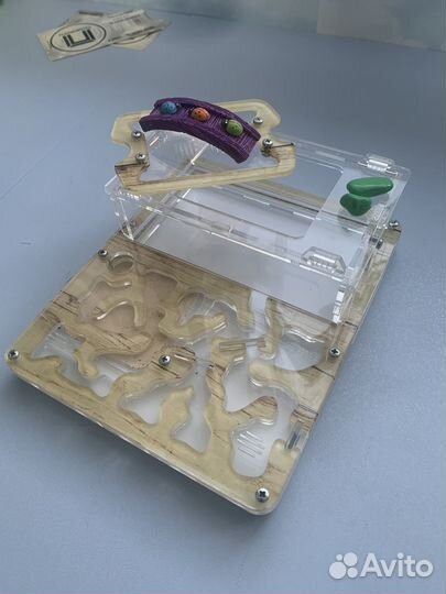 Муравьиная ферма, формикарий