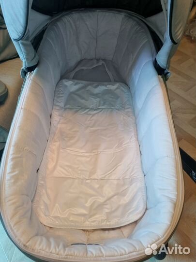 Коляска 2 в 1 adamex