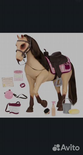 Лошадь большая