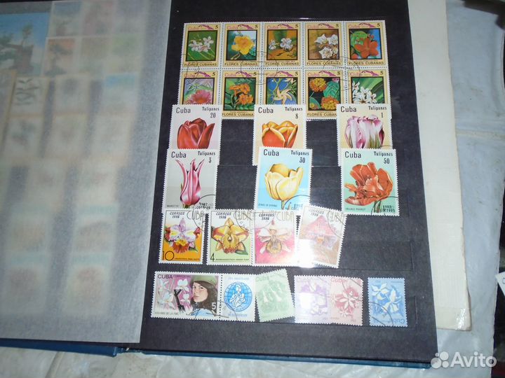 Марки куба вьетнам монголия 1980 года