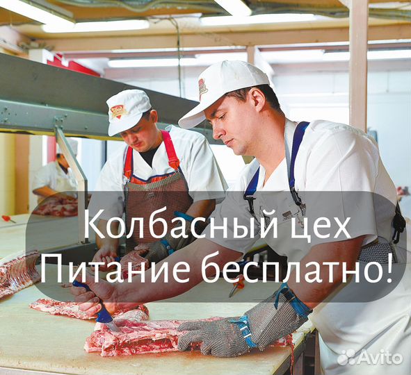 Разнорабочий Оплата ежедневно Питание бесплатно