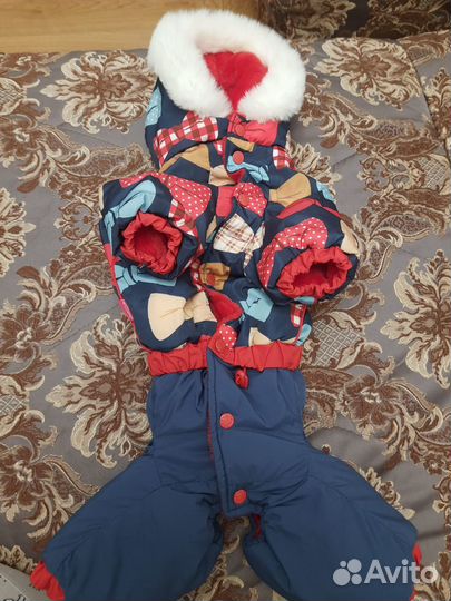 Зимний комбинезон для собаки