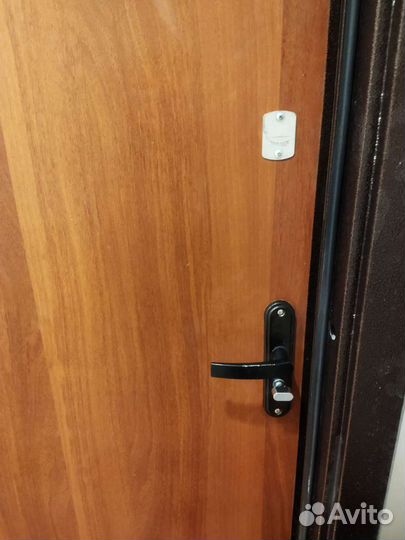 Дверь металлическая входная