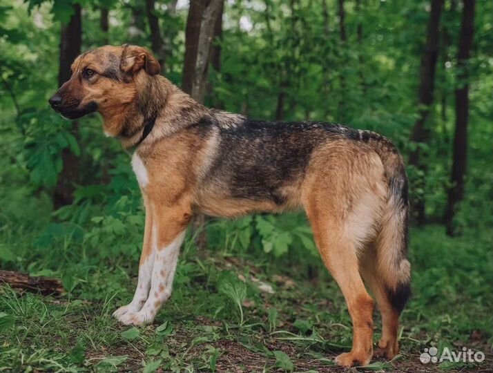 Кто потерял своего Ангела