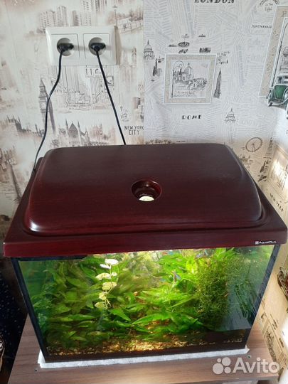 Аквариум 60л