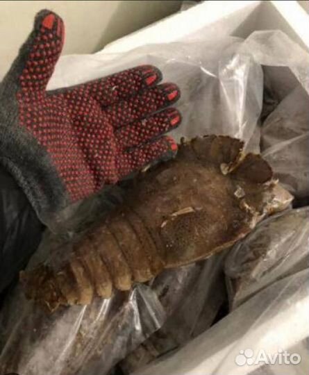 Лобстеры/Омары