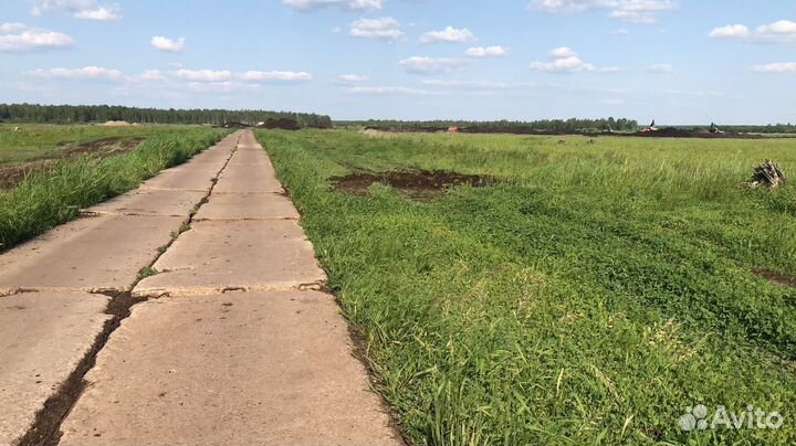 Почва, почвогрунт, чернозём