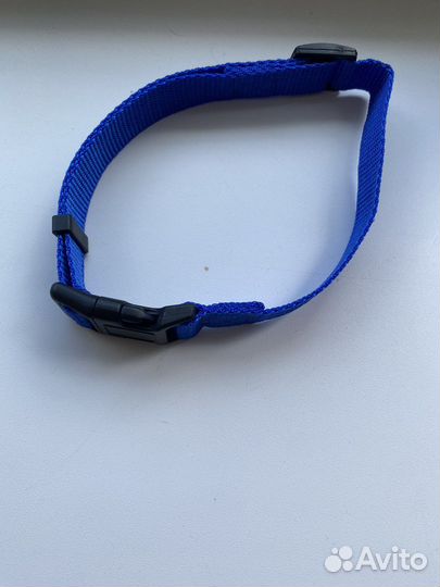Ошейник для собак