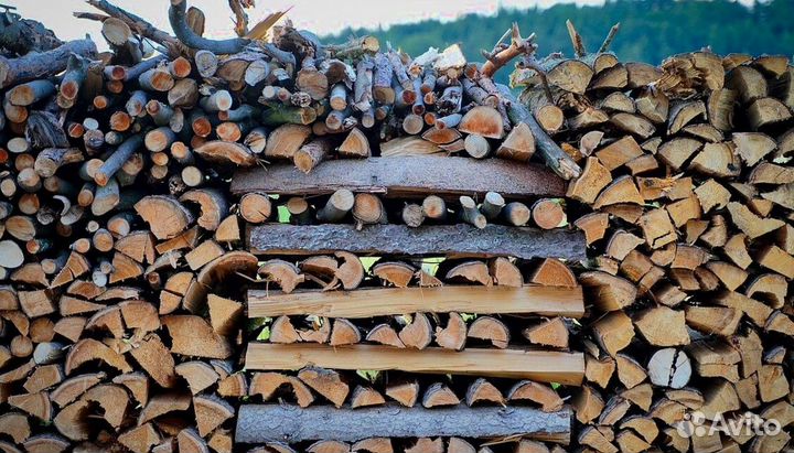 Дрова летней заготовки