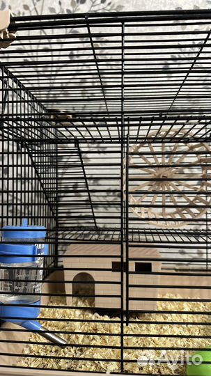 Клетка для грызунов большая, можно и для попугая