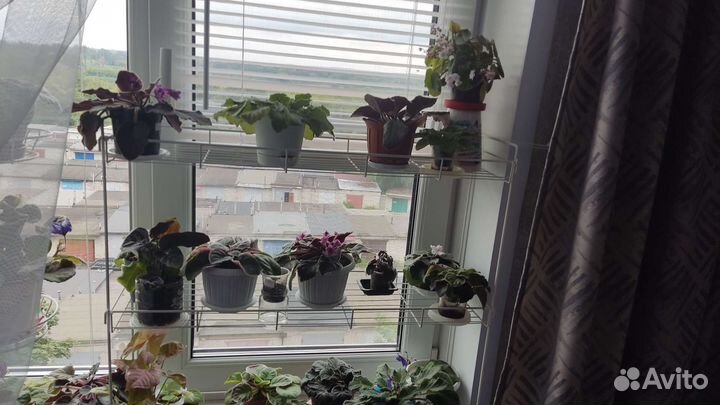 Стеллаж с цветами