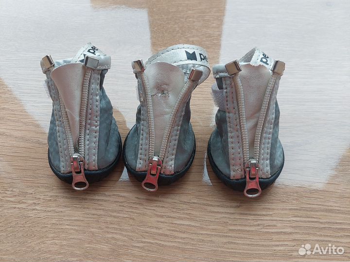 Обувь для собак