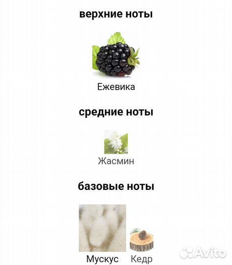 Max Philip Blackberry распив