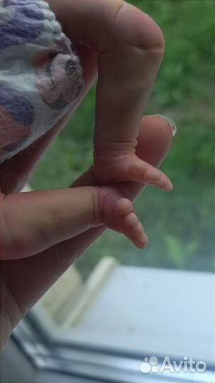 Мини реборн