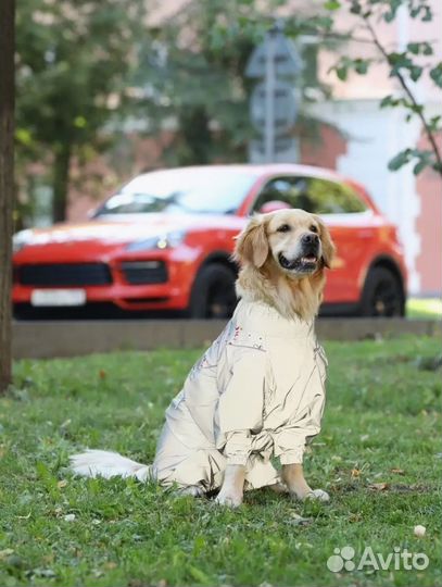 Комбинезон для собак крупных пород