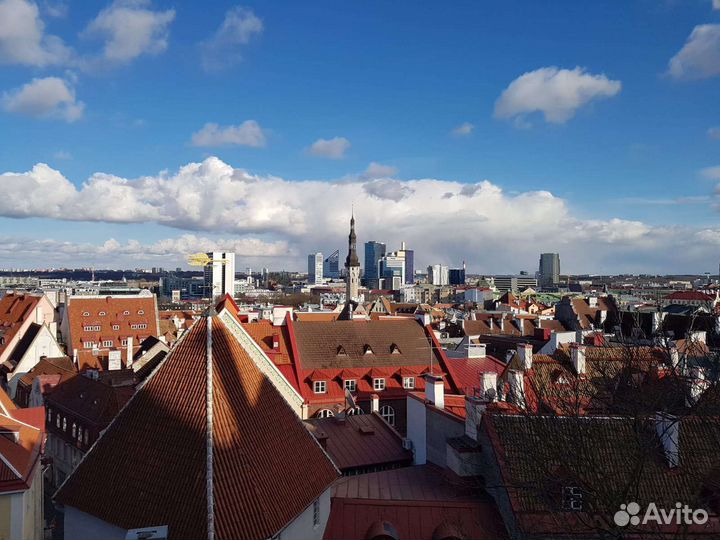 Деловые услуги