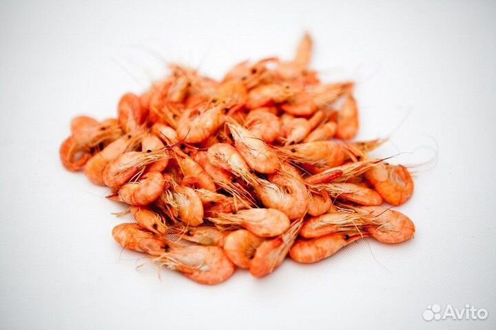 Азовская креветка