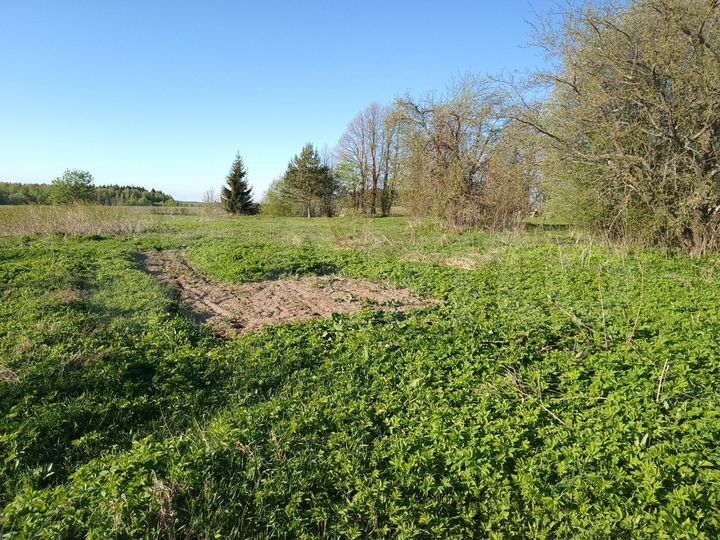 Участок 35 сот. (ИЖС)