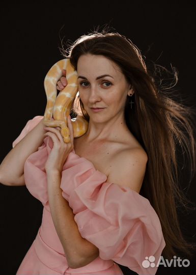 Живые змеи для фотосессии