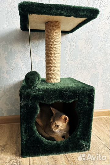 Когтеточка домик для кошки
