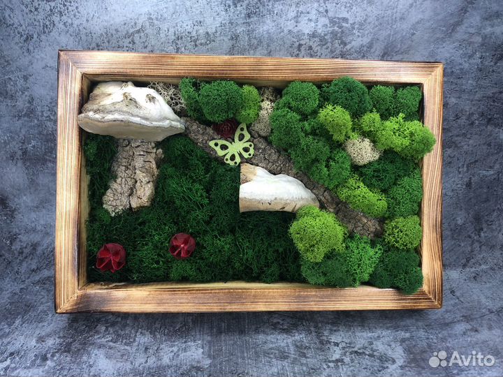 Картины из стабилизированного мха