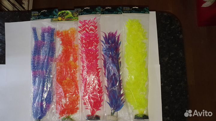 Растения для аквариума