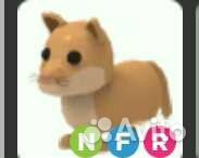 Неоновый Флай Райт Пет в игре адопт ми