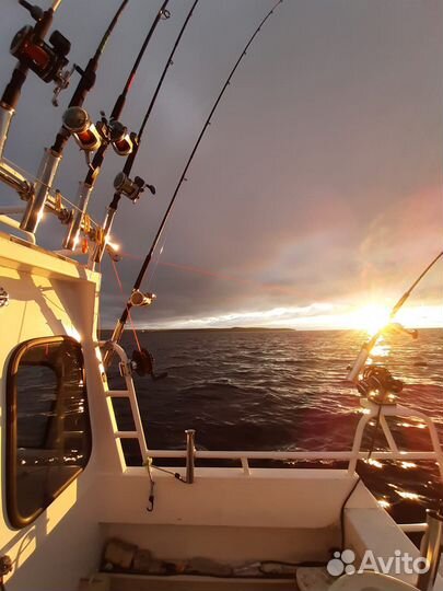 Рыбалка на катере, троллинг. Аренда катера