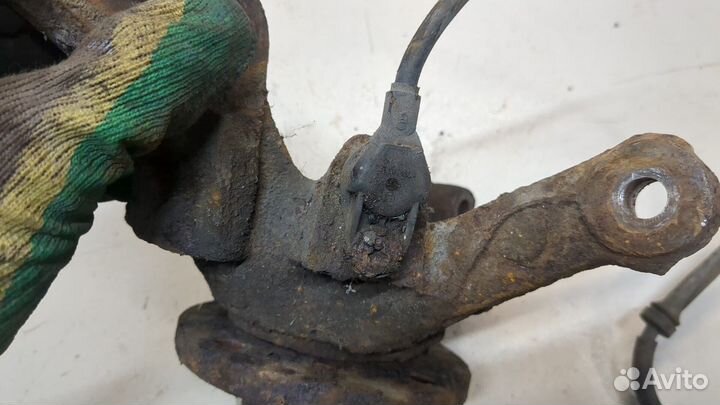 Ступица (кулак, цапфа) Renault Clio, 2004