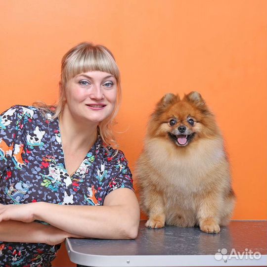 Груминг- стрижки собак всех пород и кошек