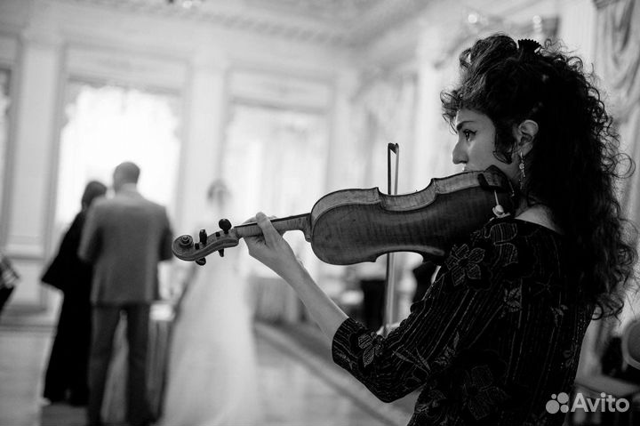 Репетитор по скрипке и сольфеджио