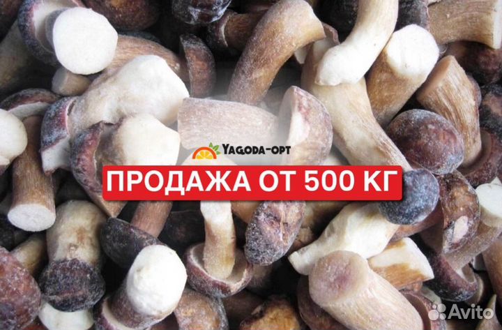 Замороженные белые грибы крупный опт
