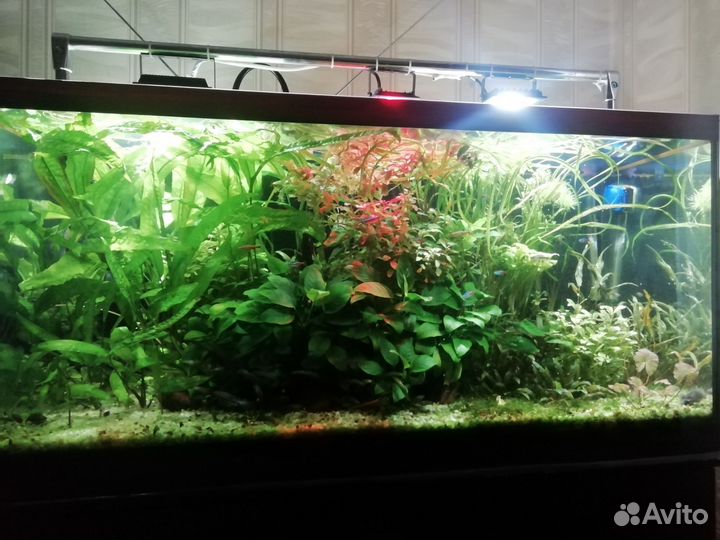 Украшение для аквариума