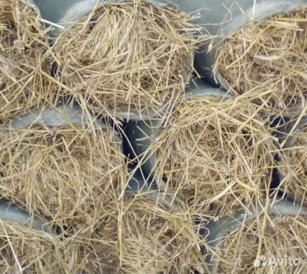 Сено в мешках